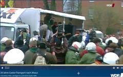 Campino rockt die Demo